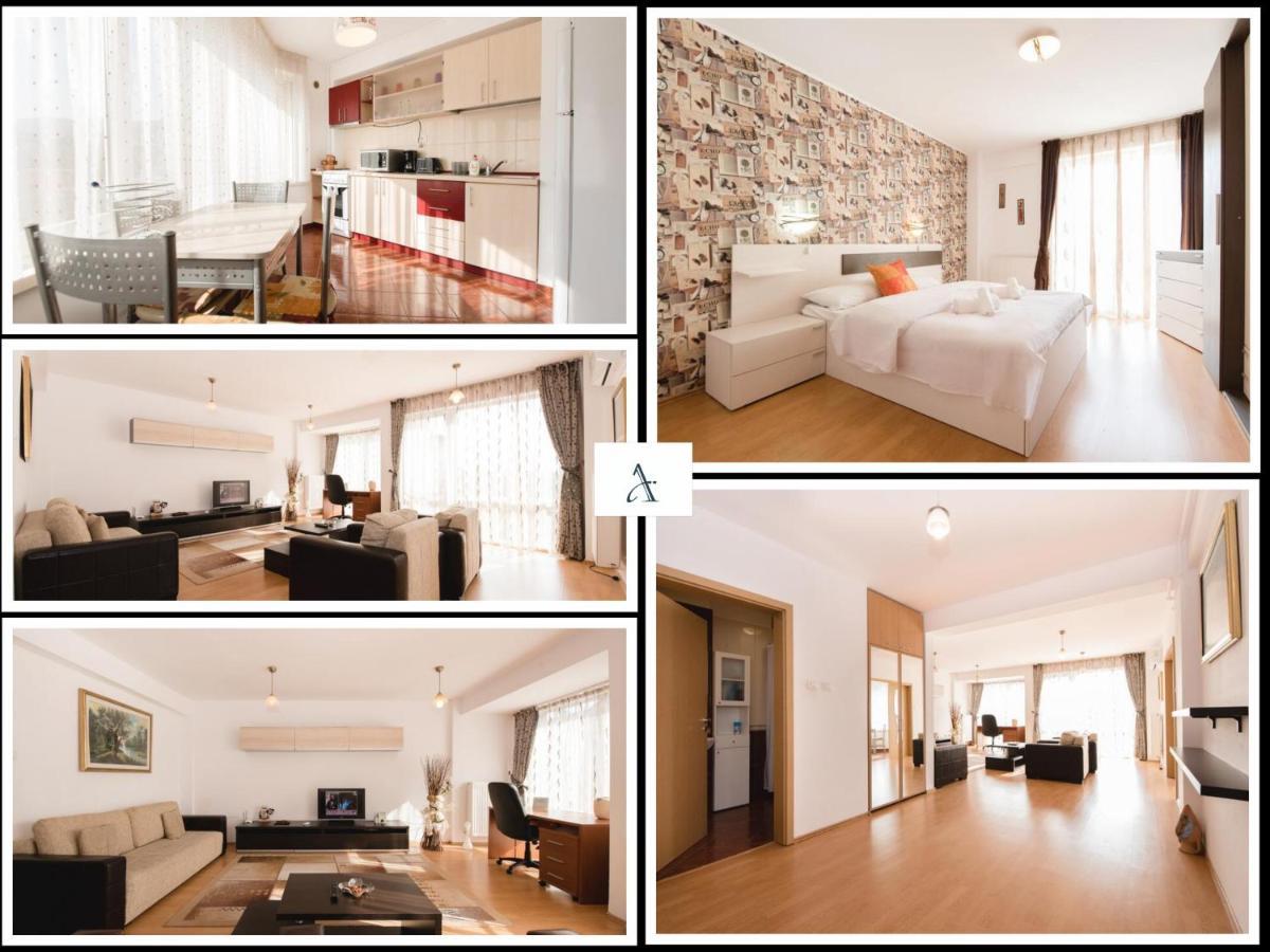 Oltului Apartment براشوف المظهر الخارجي الصورة