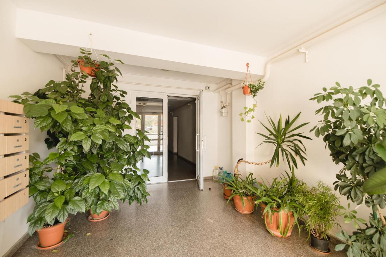 Oltului Apartment براشوف المظهر الخارجي الصورة